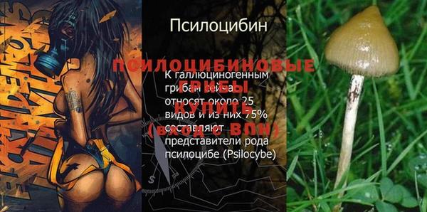 MDMA Premium VHQ Лихославль