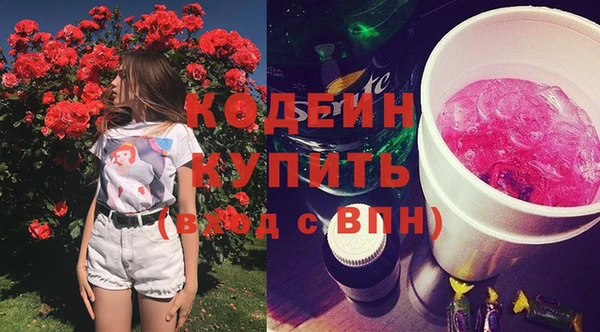 прущий лед Липки
