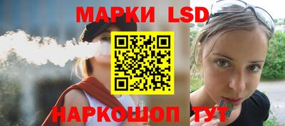 индика Кандалакша
