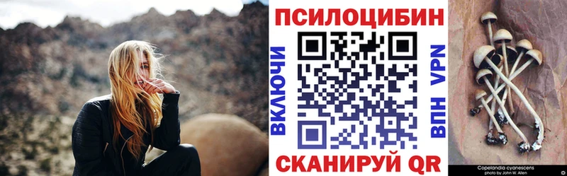 Псилоцибиновые грибы GOLDEN TEACHER  darknet телеграм  кракен ССЫЛКА  Усть-Илимск  купить закладку 