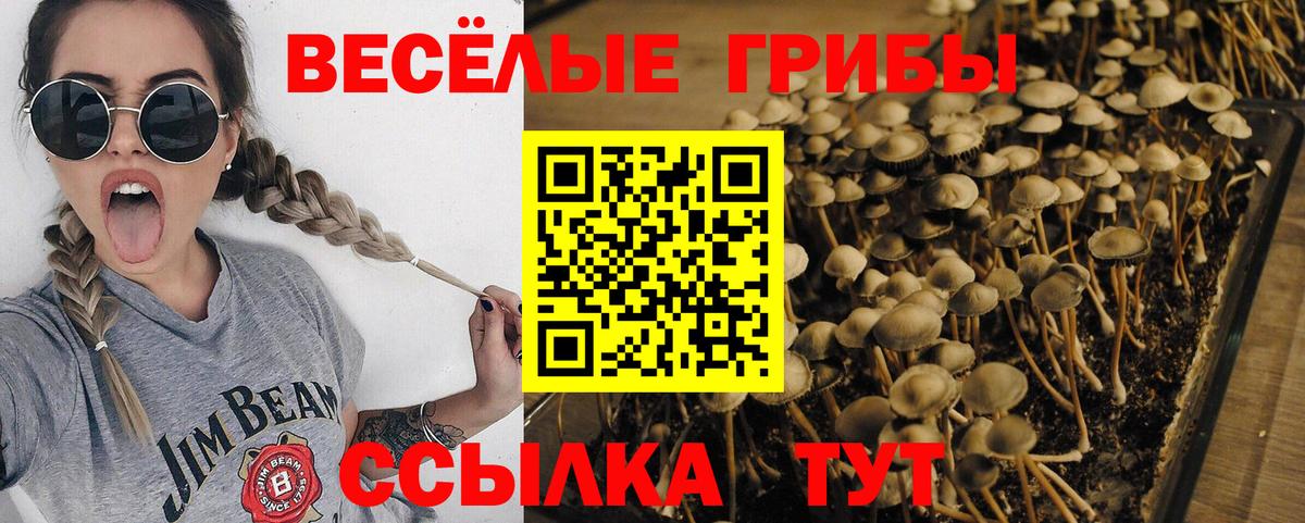 Псилоцибиновые грибы мухоморы Усть-Илимск