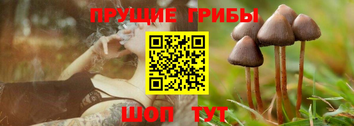 Галлюциногенные грибы мухоморы  Галлюциногенные грибы мухоморы  Вход с VPN  Усть-Илимск 